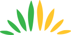 History and Background Icon