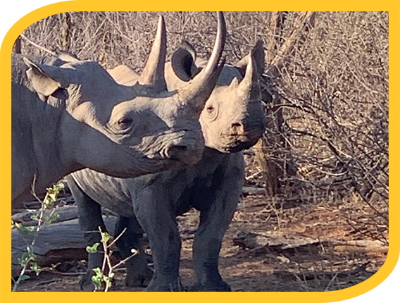 Guardians of Africa’s Wilderness Image